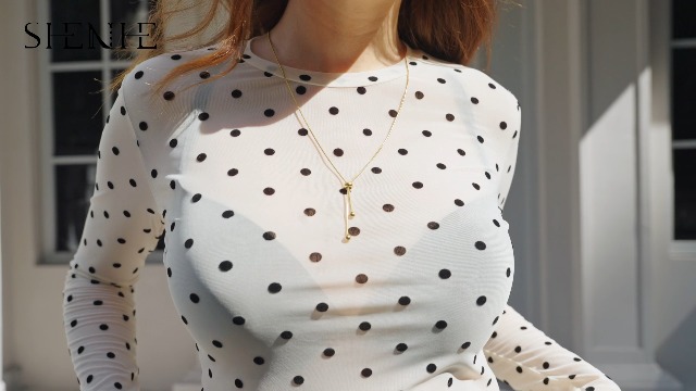 SHENHE Women's Polka Dots Sheer Mesh T Shirt Long Sleeve Round